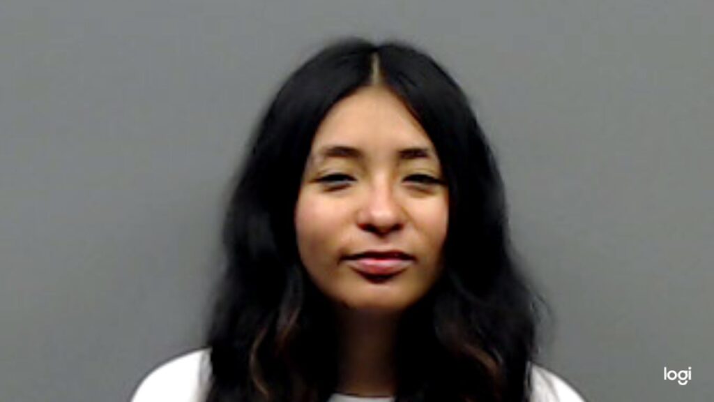 DAMIAN, REMMY booking photo