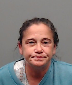 FEDDEMA, SUSAN GAIL booking photo