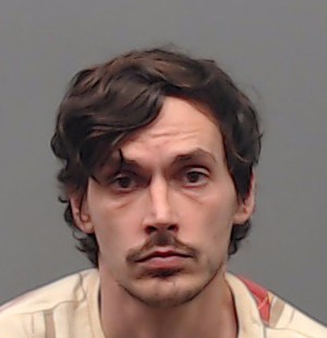 ELLIS, MICHAEL LYNN booking photo