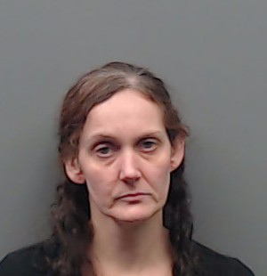 JENKINS, JANA LEIGH booking photo