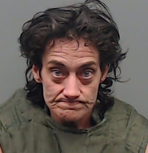 KERBOW, TESSA KAY booking photo