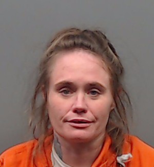 DRISKILL, STEPHANIE ANN booking photo