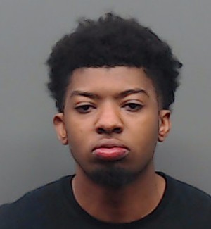 BOWSER, TRISTON LAKEITH booking photo