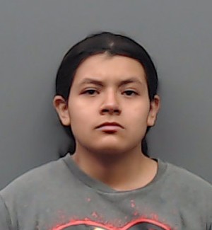 HERNANDEZ, BREANNA booking photo