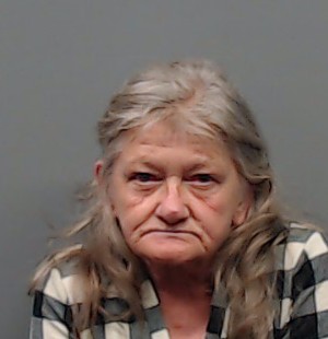 TOENNIGES, SANDRA BOYER booking photo