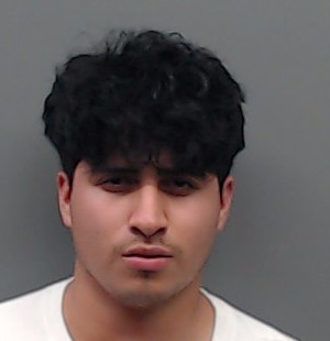 SALINAS, ALEXANDER booking photo