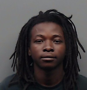 WILLIAMS, LEO EDWARD booking photo