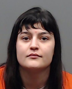 HEIDRICK, HANNAH MICHELLE booking photo