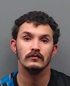 LANE, STEVEN booking photo