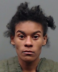 JOHNSON, JAMEKA ANN booking photo