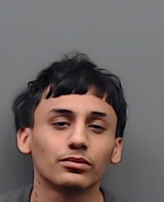 RODRIGUEZ-SALINAS, DAVID booking photo