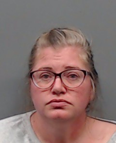 HULSEY, BRANDY ELAINE booking photo