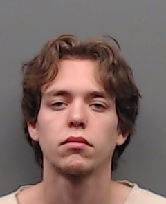 ROMINE, GAVIN DAWSON booking photo