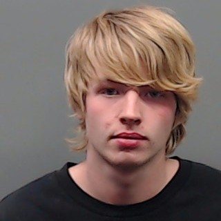 DAVIDSON, LUKE ANTHONY booking photo