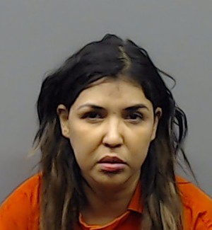 CASTILLO, MIRIAM CRISTAL booking photo