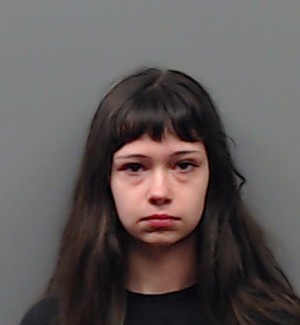 NORMAN, NATALIE DANIELLE booking photo