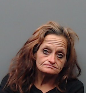 PAGE, DARLENE KAYE booking photo