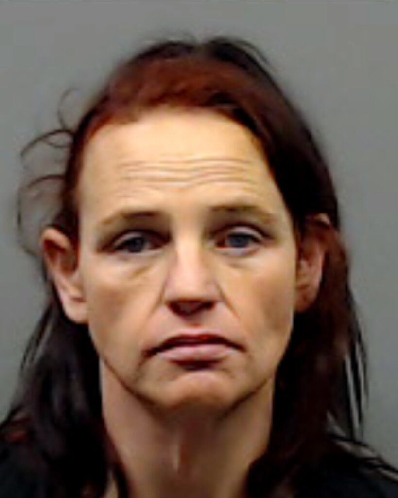 BUBEL, ALLISON RENEE arrest record in Smith County, Texas BUBEL, ALLISON RENEE arrested in Smith County, Texas mugshot