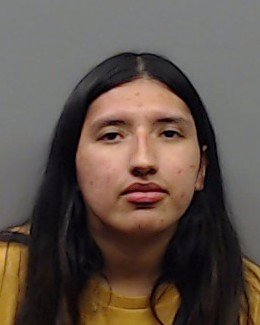 BRAVO, YOSELIN booking photo