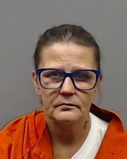 PELLERIN, NICOLLE LYNN booking photo