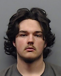 WARREN, TRISTIN LEE booking photo