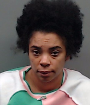 JOHNSON, STEPHANIE VANEICE booking photo