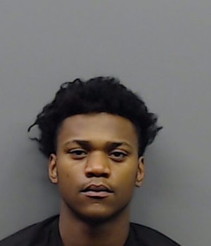 JAMES, WILLIAMS DEWAYNE booking photo