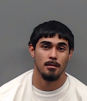 RAMIREZ, JOSE booking photo