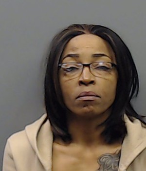 HENRY, MARY LOUISE booking photo