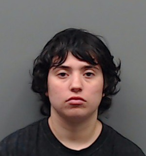 BOSWELL, AMANDA FAITH arrested by Smith County Sheriff’s Office