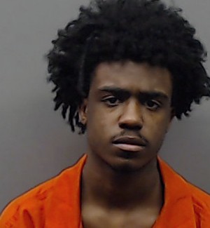 ROBERTS, DAVID LEE, Jr. booking photo