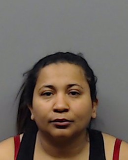 IRVINA-CASTILLO, CULISSA CAROLINA booking photo