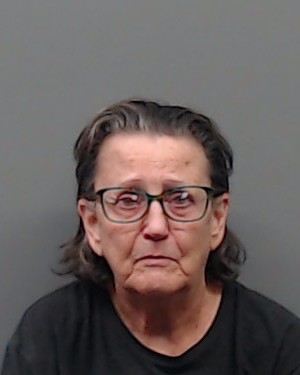 RAY, DEBRA SULLIVAN booking photo