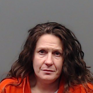 WOLF, JESSICA LEE booking photo
