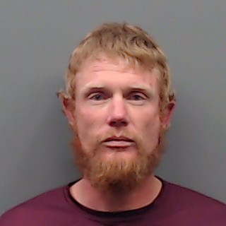 LEE, MICHAEL booking photo