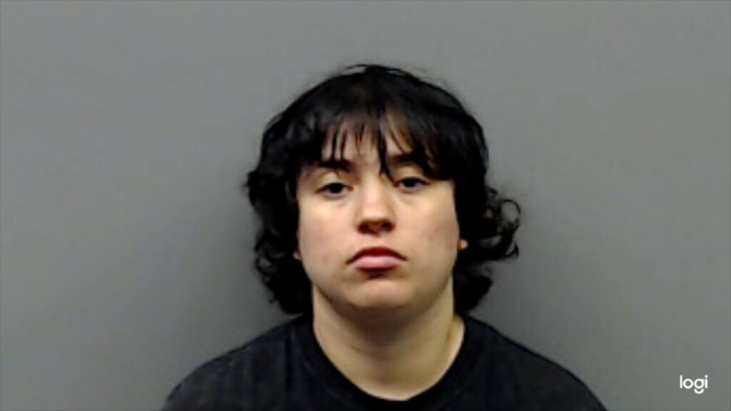 BOSWELL, AMANDA FAITH arrested in Smith County, Texas mugshot