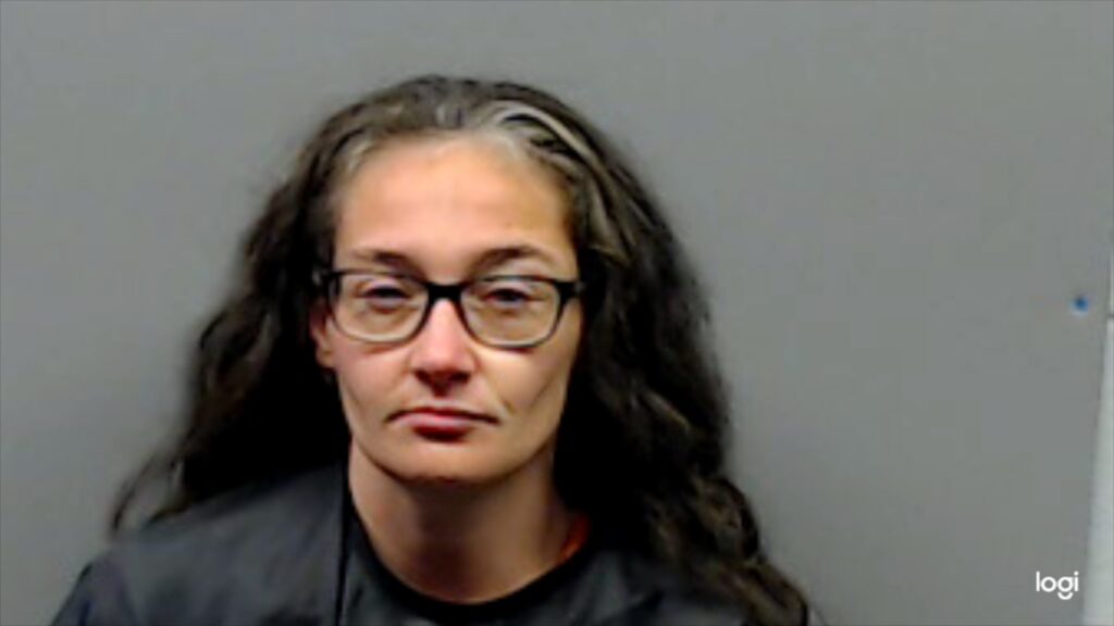 SEQUICHIE, HEATHER JEAN arrest record in Smith County, Texas SEQUICHIE, HEATHER JEAN arrested in Smith County, Texas mugshot