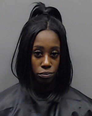 DANSLER, DAMESHA SHONTAE booking photo