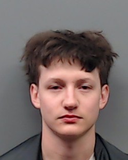 HICKMAN, BRAYON booking photo