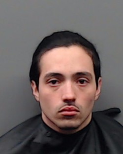 BRENES, RYAN booking photo