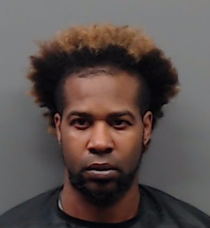 WOODARD, RAY DAVON booking photo