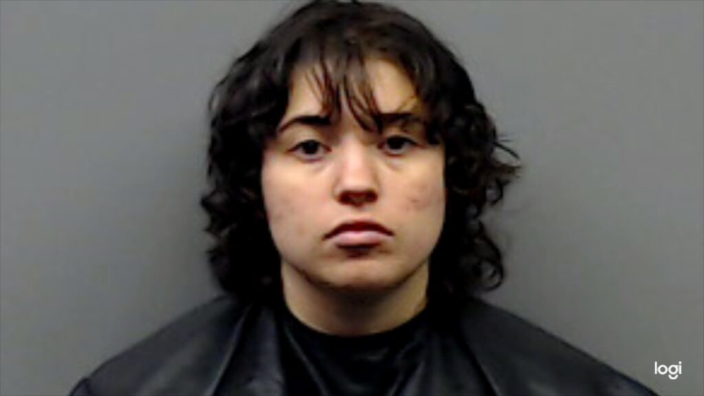 BOSWELL, AMANDA FAITH arrest record in Smith County, Texas BOSWELL, AMANDA FAITH arrested in Smith County, Texas mugshot