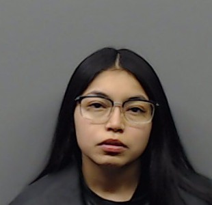 REYES, NOELIA MARIE booking photo