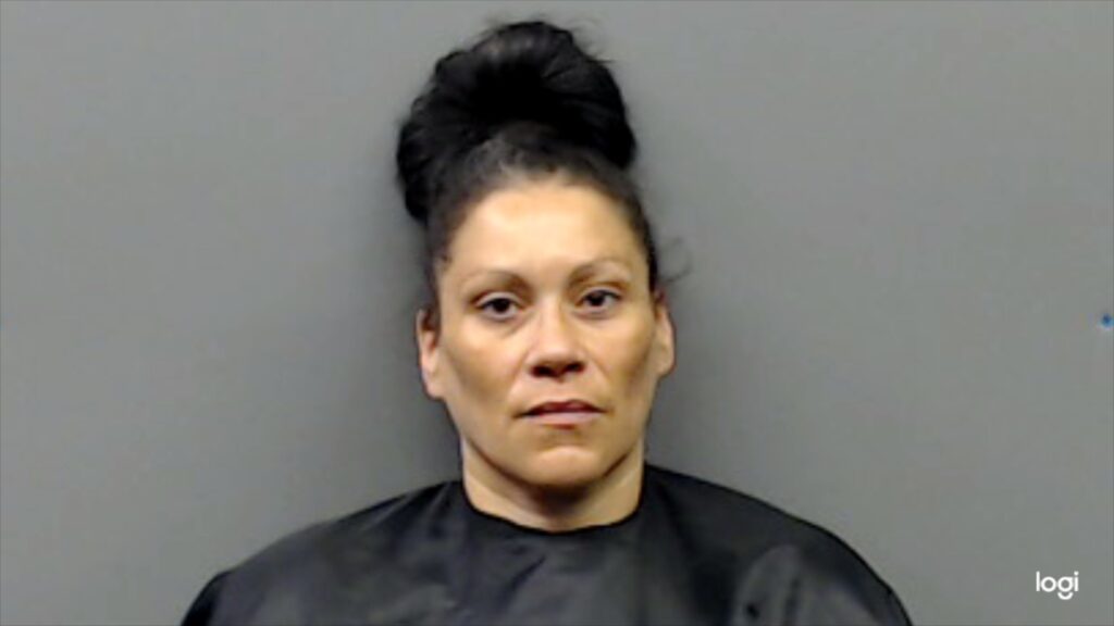 ROMERO, ROSA ANN arrest record in Smith County, Texas ROMERO, ROSA ANN arrested in Smith County, Texas mugshot