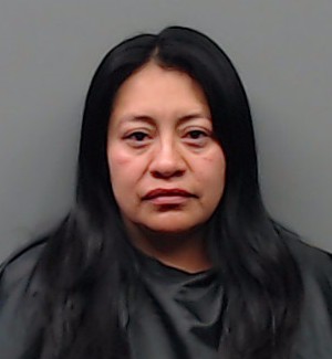 MARTINEZ, ELIZABETH LOPEZ booking photo