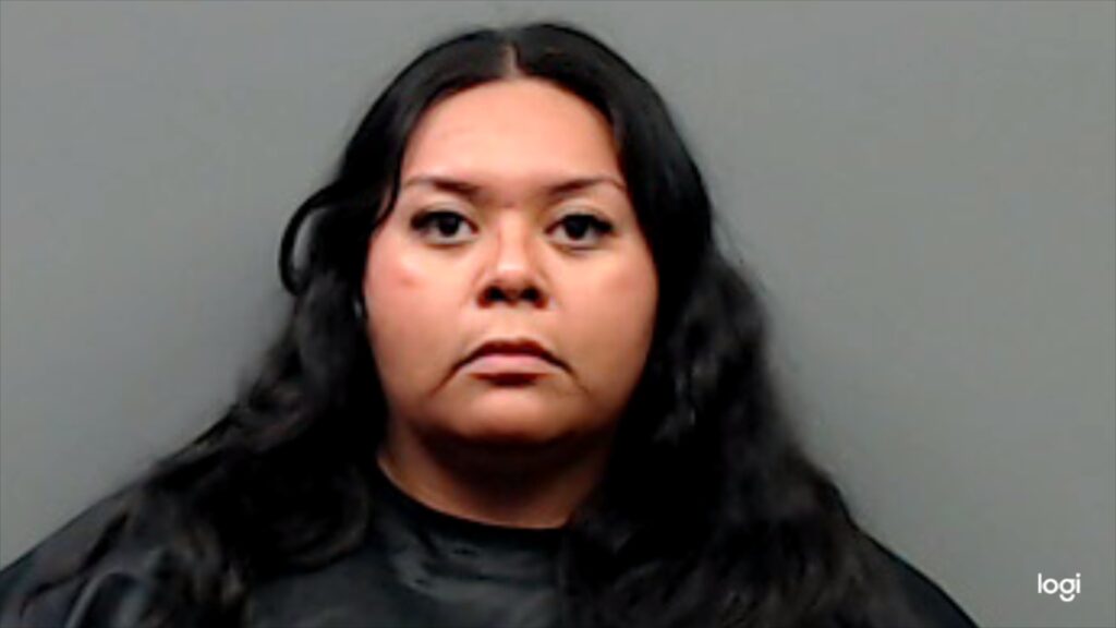 ORTEGA, DANIELA arrest record in Smith County, Texas ORTEGA, DANIELA arrested in Smith County, Texas mugshot