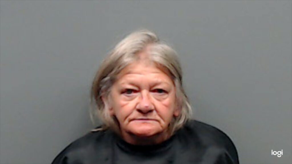 TOENNIGES, SANDRA BOYER booking photo