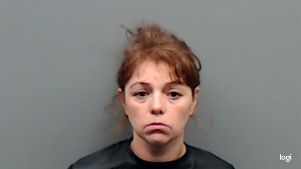 BOIES, ELLIE ANNE booking photo