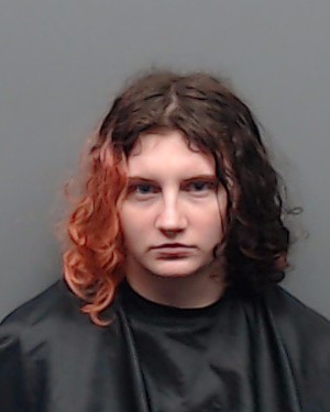WILLIAMSON, KRYSTAL NICOLE booking photo