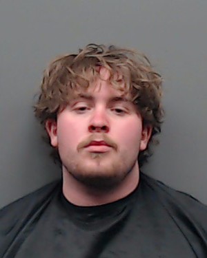 BETHEL, BRIAN booking photo